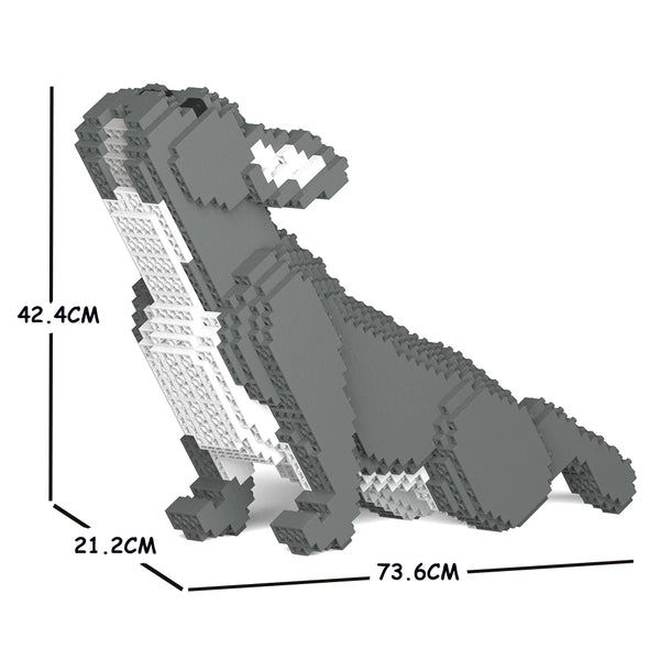 French Bulldog 05C-M05