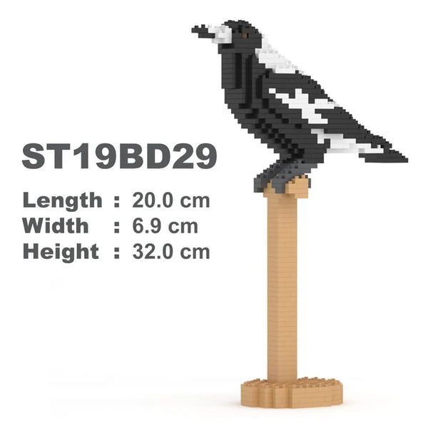 Australian Magpie 01S