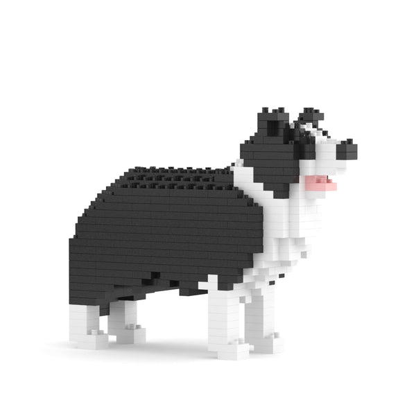 Border Collie Mini 01S