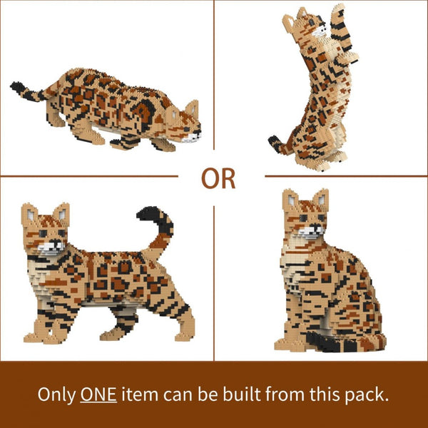 Jekca Bengal Cat 4-In-1 Pack 01S-M01