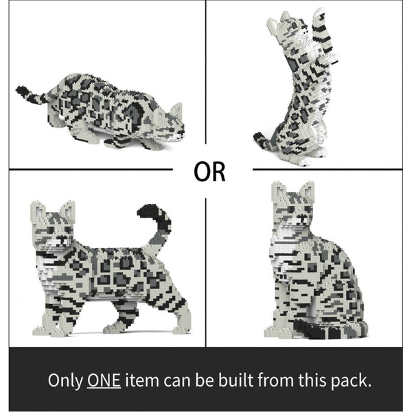 Jekca Bengal Cat 4-In-1 Pack 01S-M02