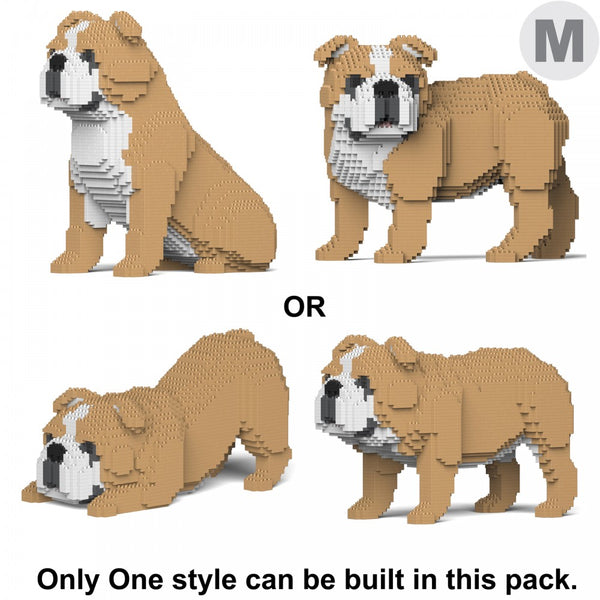 Jekca English Bulldog 4-In-1 Pack 01C-M03