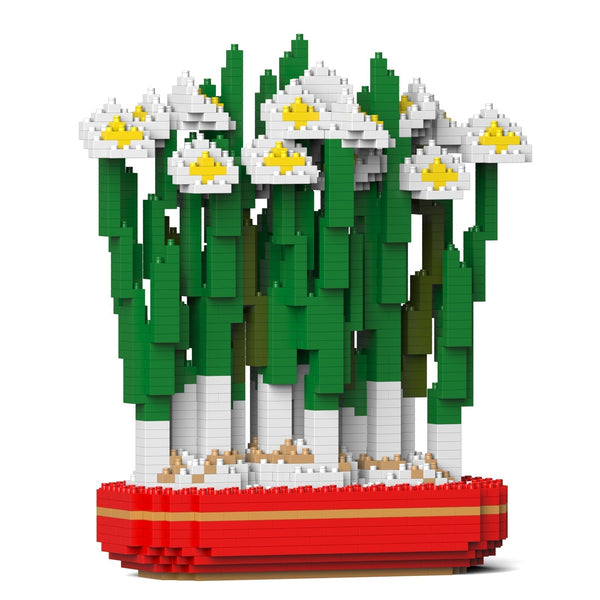 Jekca Paperwhites 02