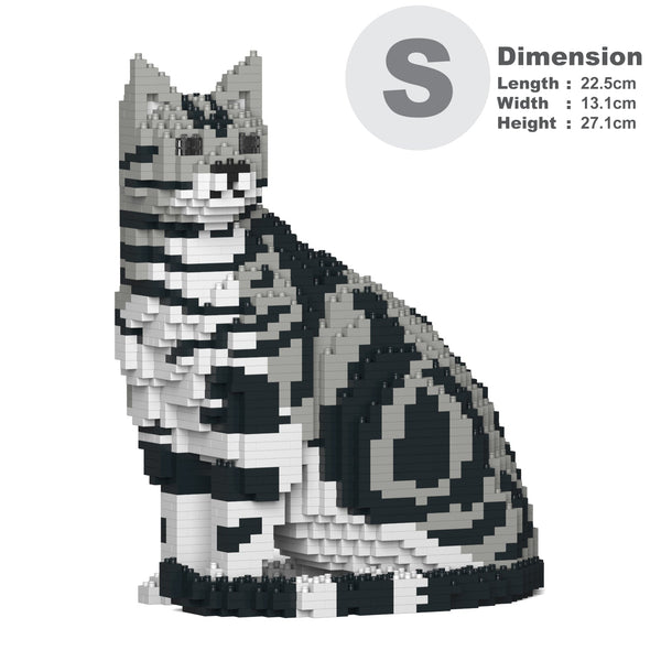 Jekca American Shorthair Cat 01S-M01