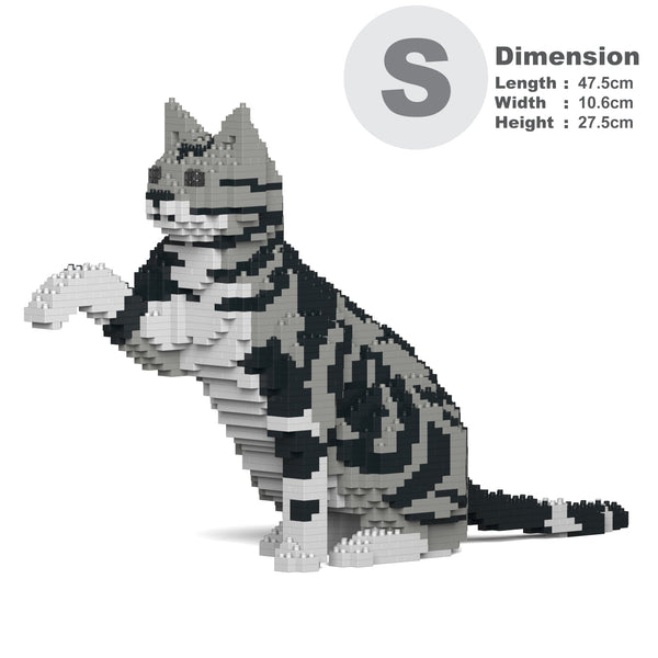 Jekca American Shorthair Cat 03S-M01