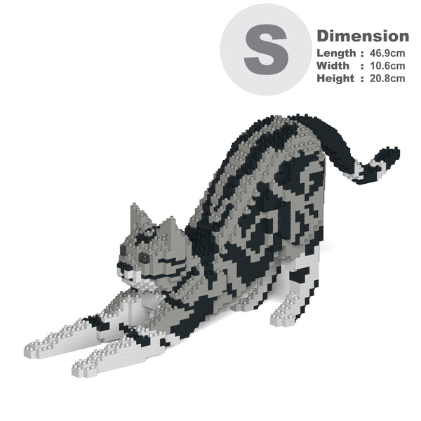 Jekca American Shorthair Cat 04S-M01