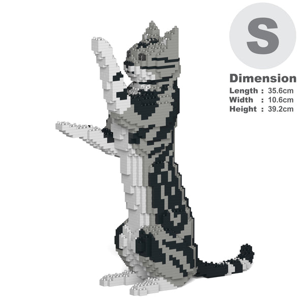 Jekca American Shorthair Cat 05S-M01