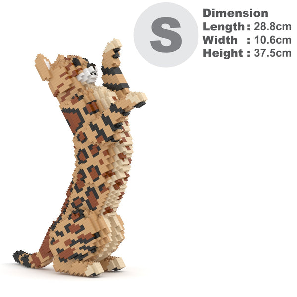 Jekca Bengal Cat 4-in-1 Pack 01S-M01