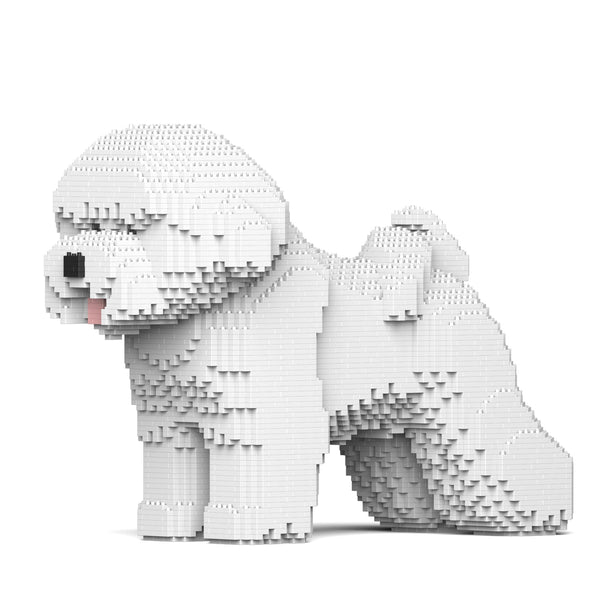 Jekca Bichon Frise 02