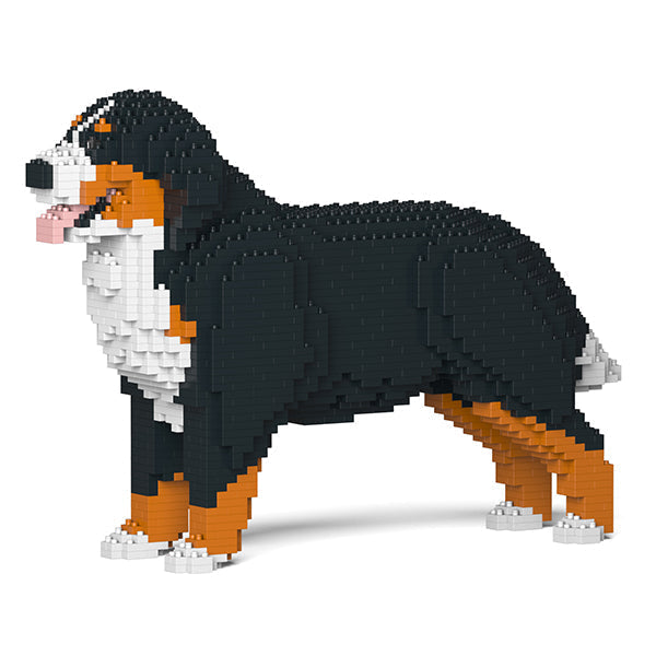 Jekca Bernese Mountain Dog 02