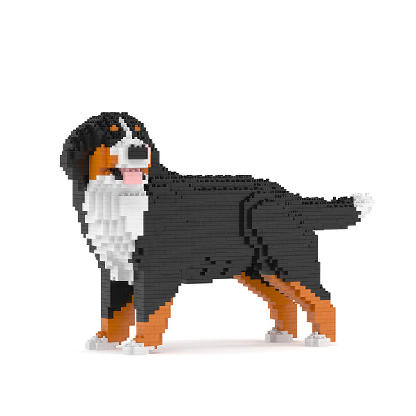 Jekca Bernese Mountain Dog 03B