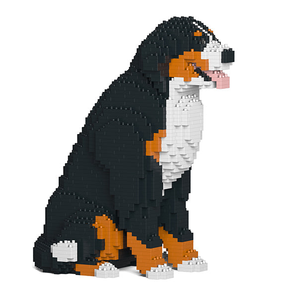 Jekca Bernese Mountain Dog 04