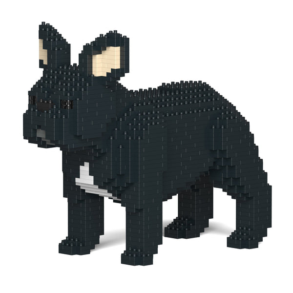 Jekca French Bulldog 02-M03