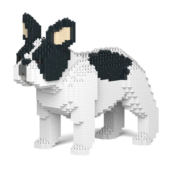 Jekca French Bulldog 02-M04