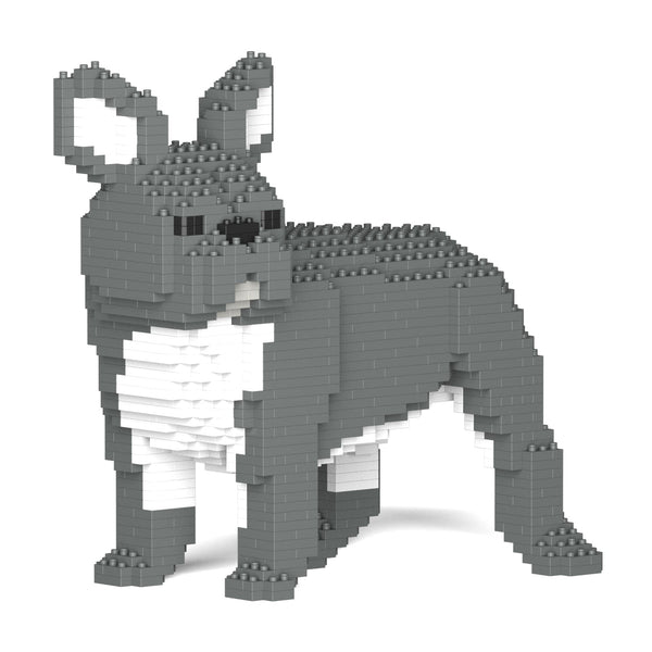 Jekca French Bulldog 03-M05