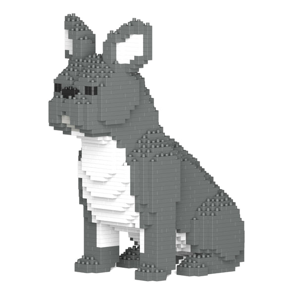 Jekca French Bulldog 04-M05