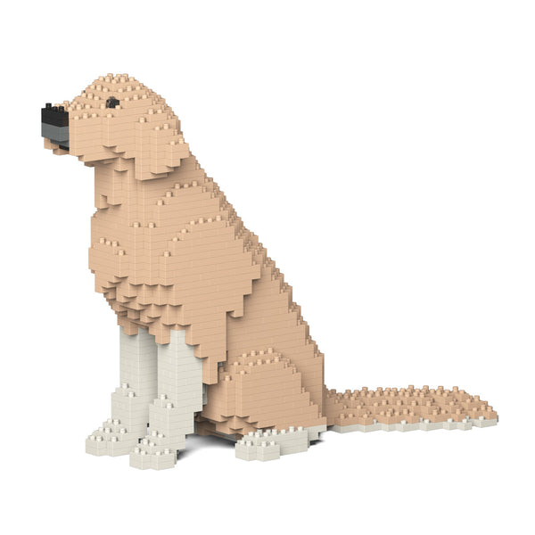 Jekca Golden Retriever 03-M01