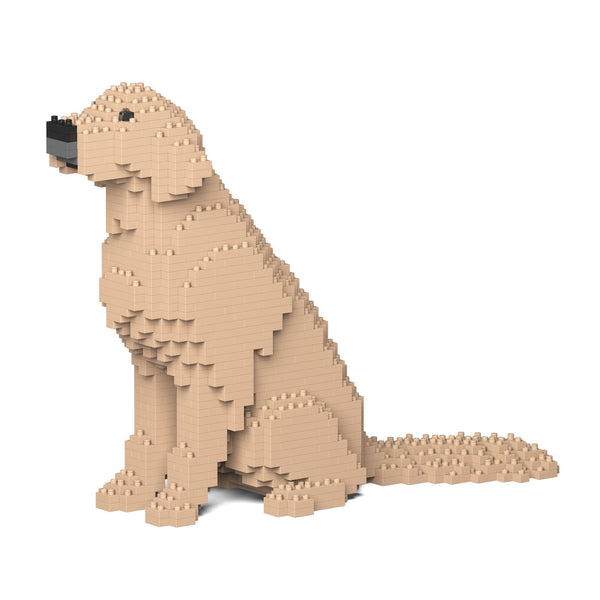 Jekca Golden Retriever 03-M03