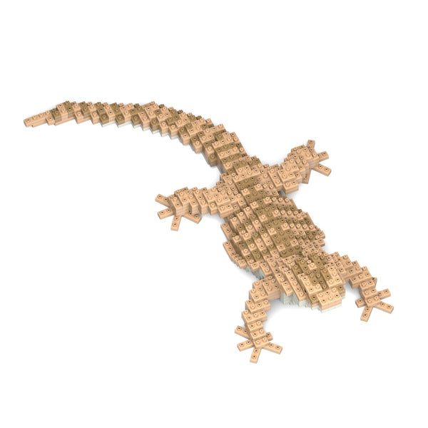 Jekca Bearded Dragon 01