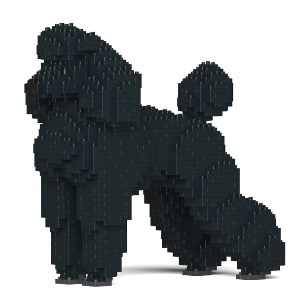 Jekca Standard Poodle 01-M01