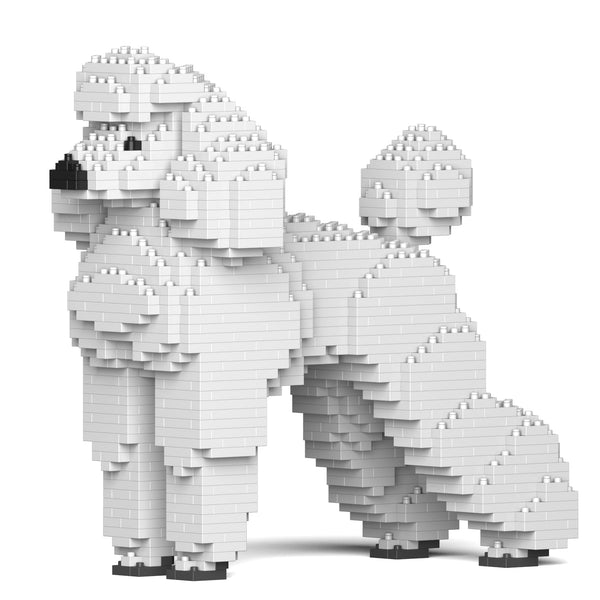 Jekca Standard Poodle 01-M01