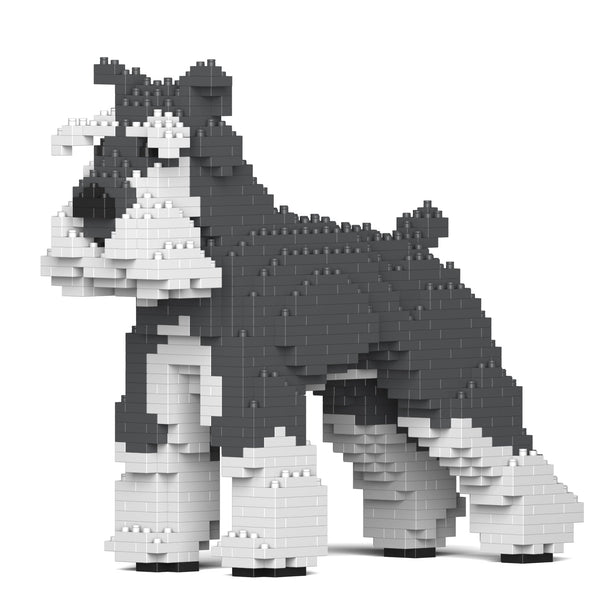 Jekca Standard Schnauzer 01-M01