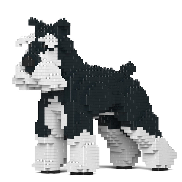 Jekca Standard Schnauzer 01-M02b