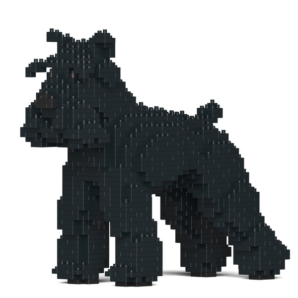 Jekca Standard Schnauzer 01-M03