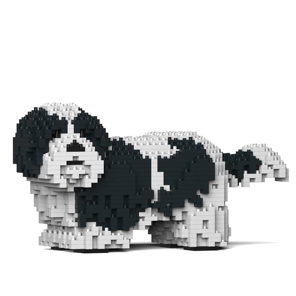 Jekca Shih Tzu 01-M02