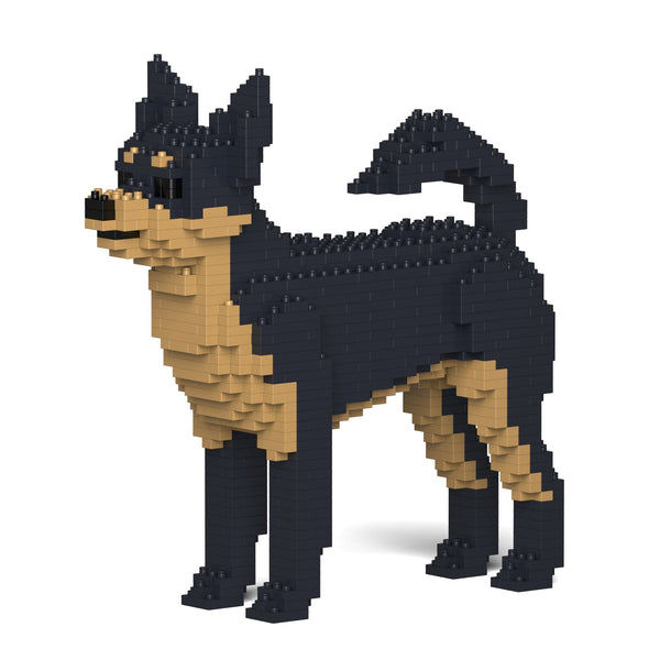 Jekca Chihuahua 01-M02