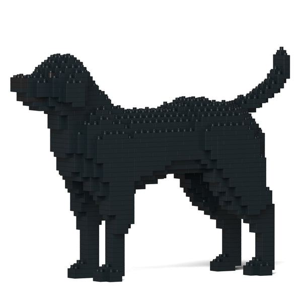 Jekca Labrador Retriever 01-M03