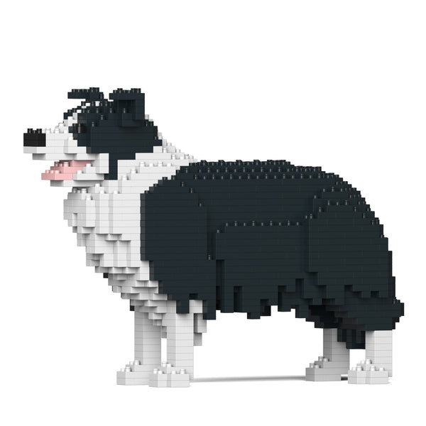 Jekca Border Collie 01-M01