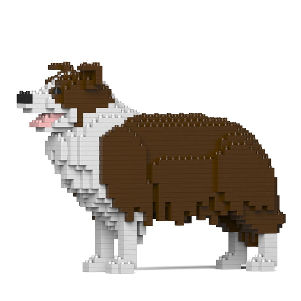 Jekca Border Collie 01-M02