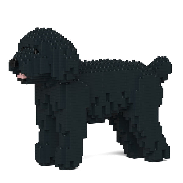 Jekca Toy Poodle 01-M02