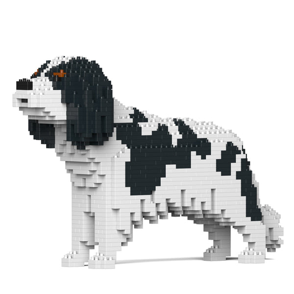 Jekca Cavalier King Charles Spaniel 01-M02