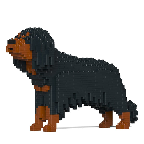 Jekca Cavalier King Charles Spaniel 01-M04