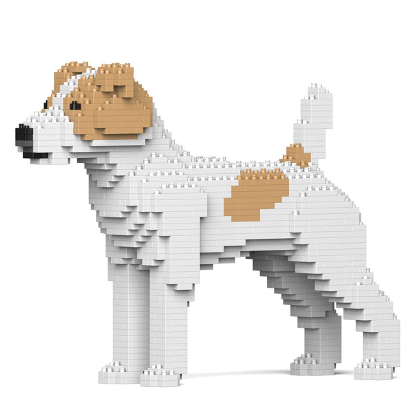 Jekca Jack Russell Terrier 01-M03