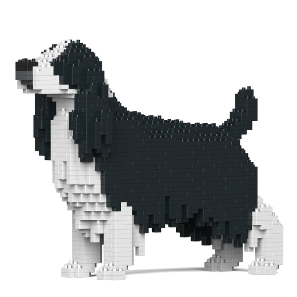 Jekca English Springer Spaniel 01-M02