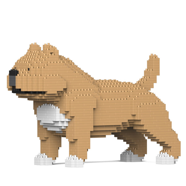 Jekca American Bully 01-M01