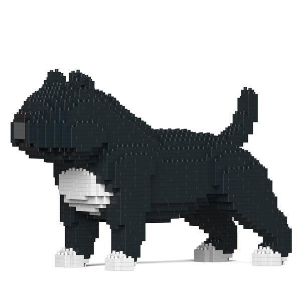 Jekca American Bully 01-M02