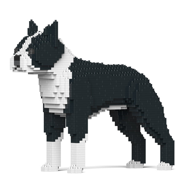 Jekca Boston Terrier 01-M01