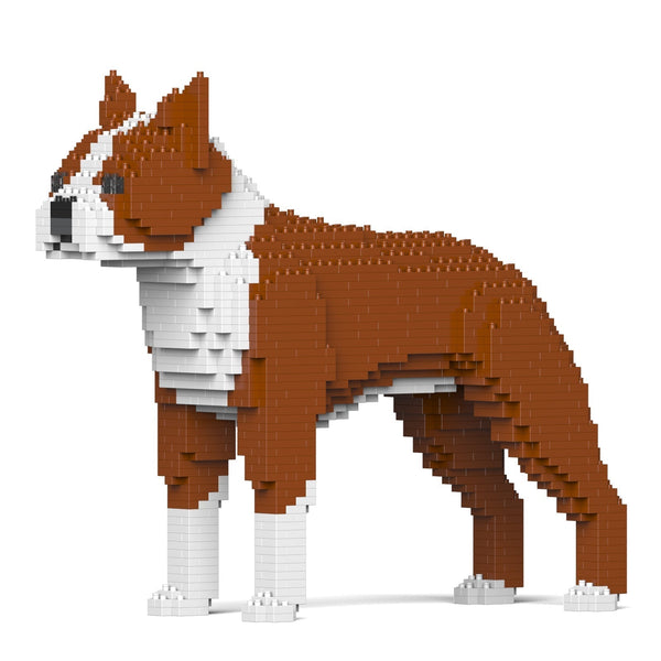 Jekca Boston Terrier 01-M02