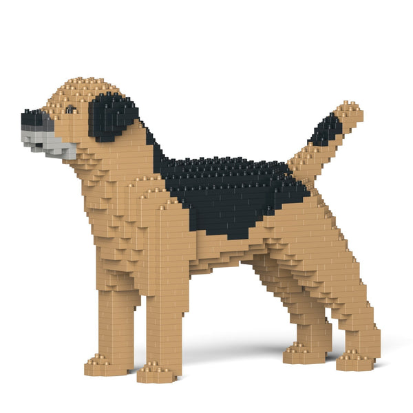 Jekca Border Terrier 01-M01