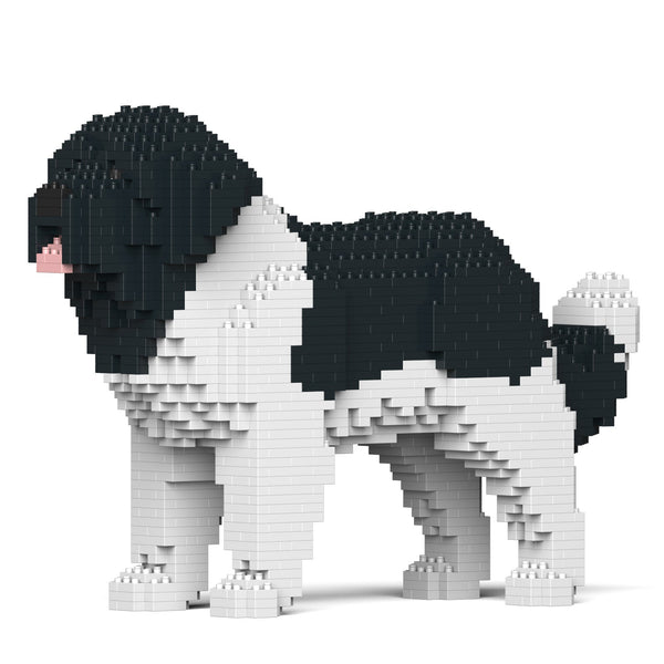 Jekca Newfoundland Dog 01-M03