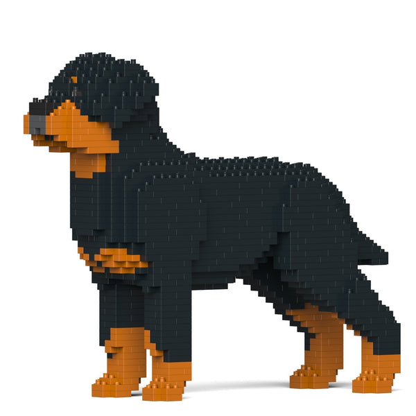 Jekca Rottweiler 02