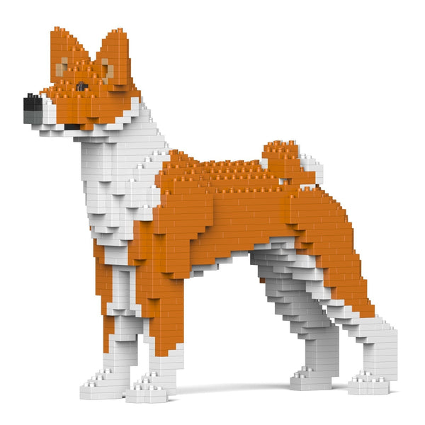 Jekca Basenji 01-M01