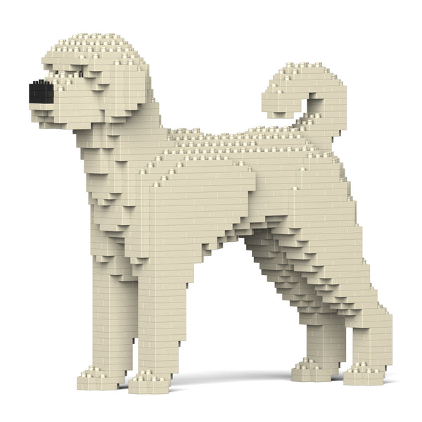 Jekca Labradoodle 01-M01