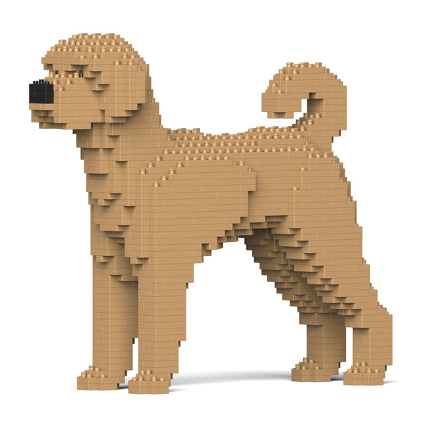 Jekca Labradoodle 01-M02