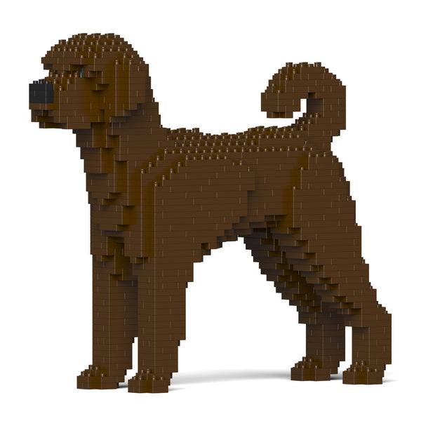 Jekca Labradoodle 01-M03