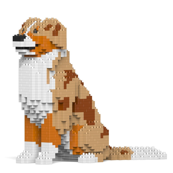 Jekca Australian Shepherd 01-M02